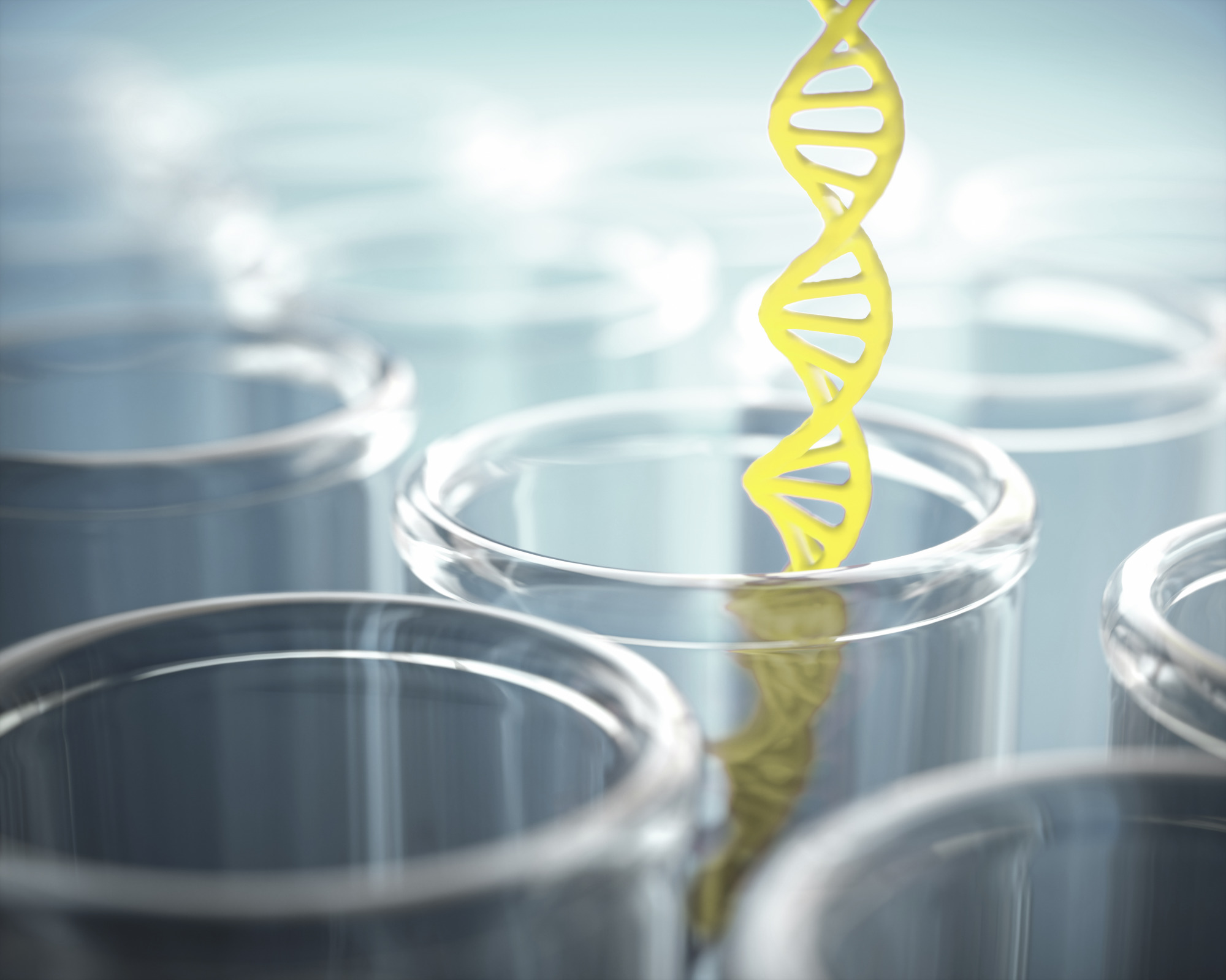 Misija i vizija - Sartorius Libra Elektronik