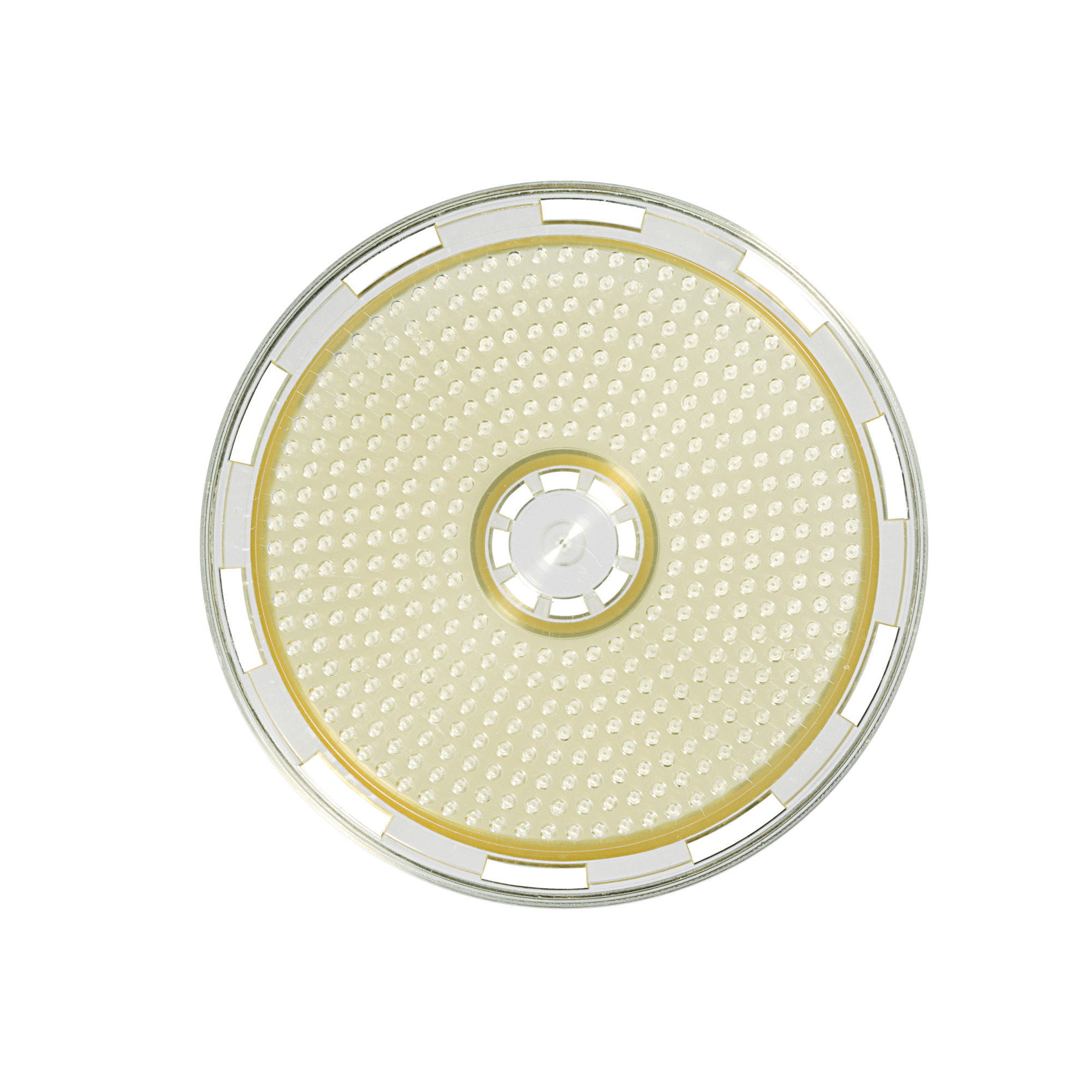 Sartorius Libra Elektronik