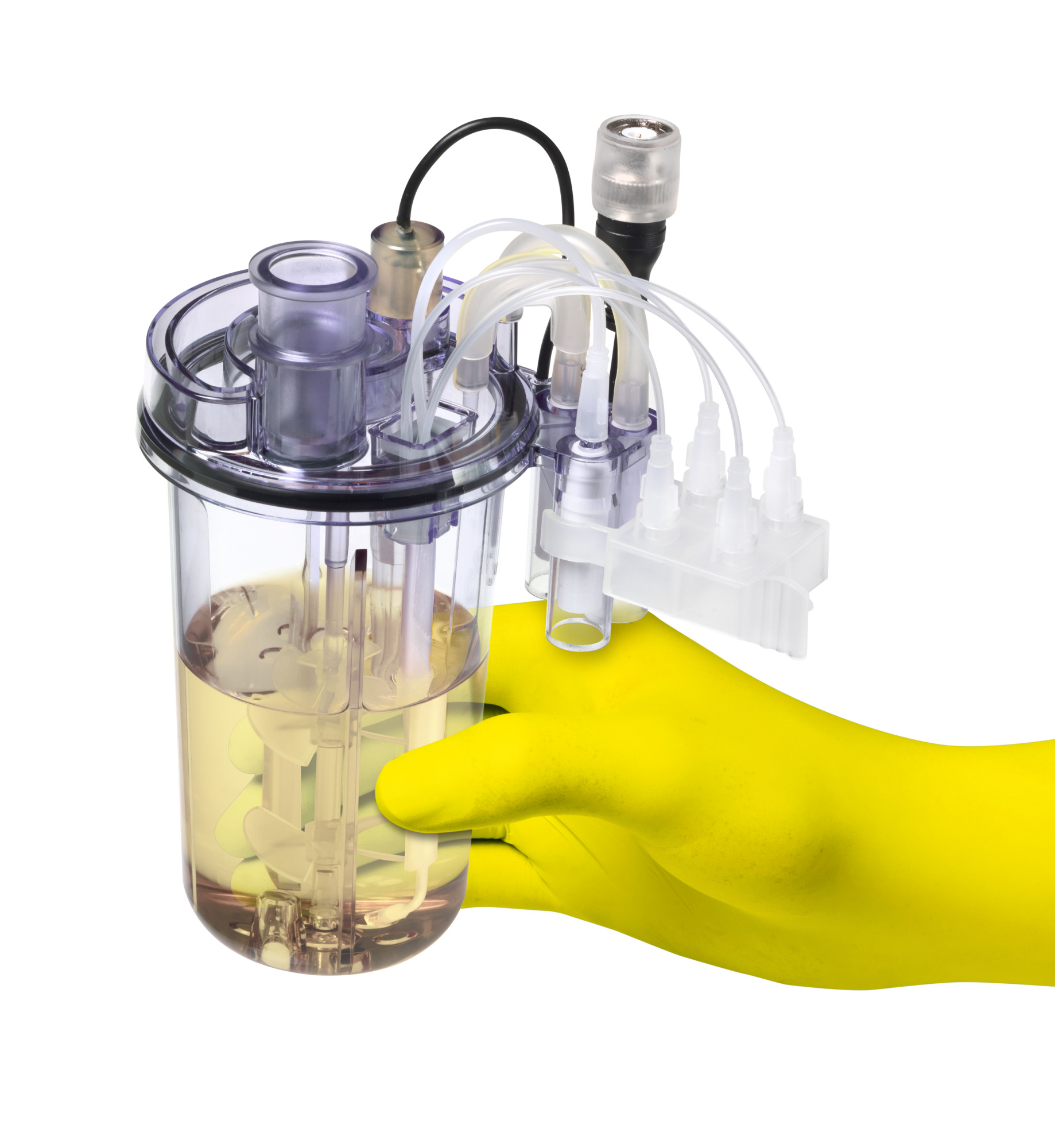 Sartorius Libra Elektronik