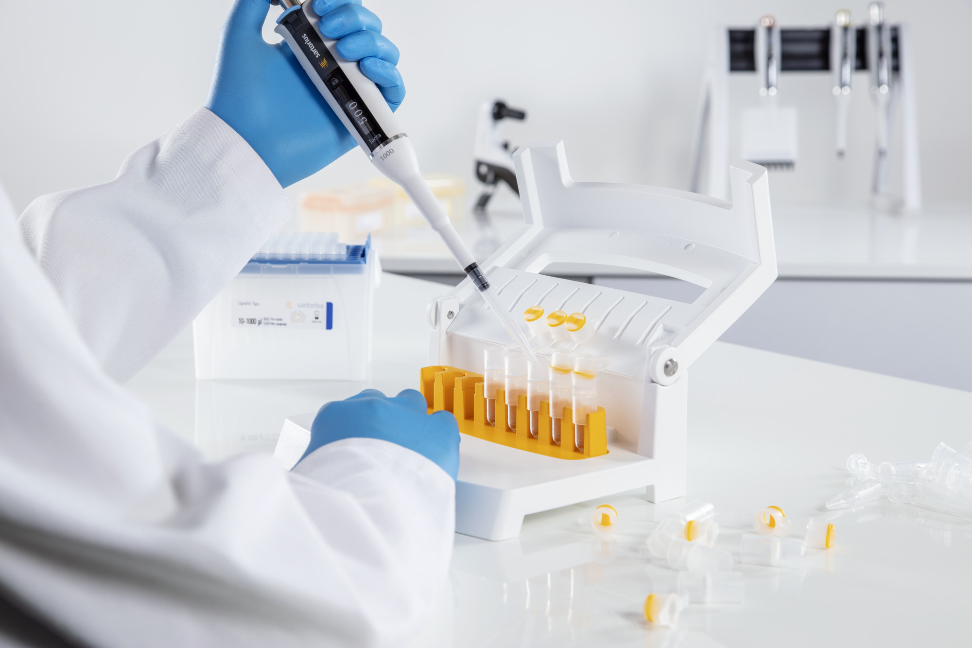 Sartorius Libra Elektronik