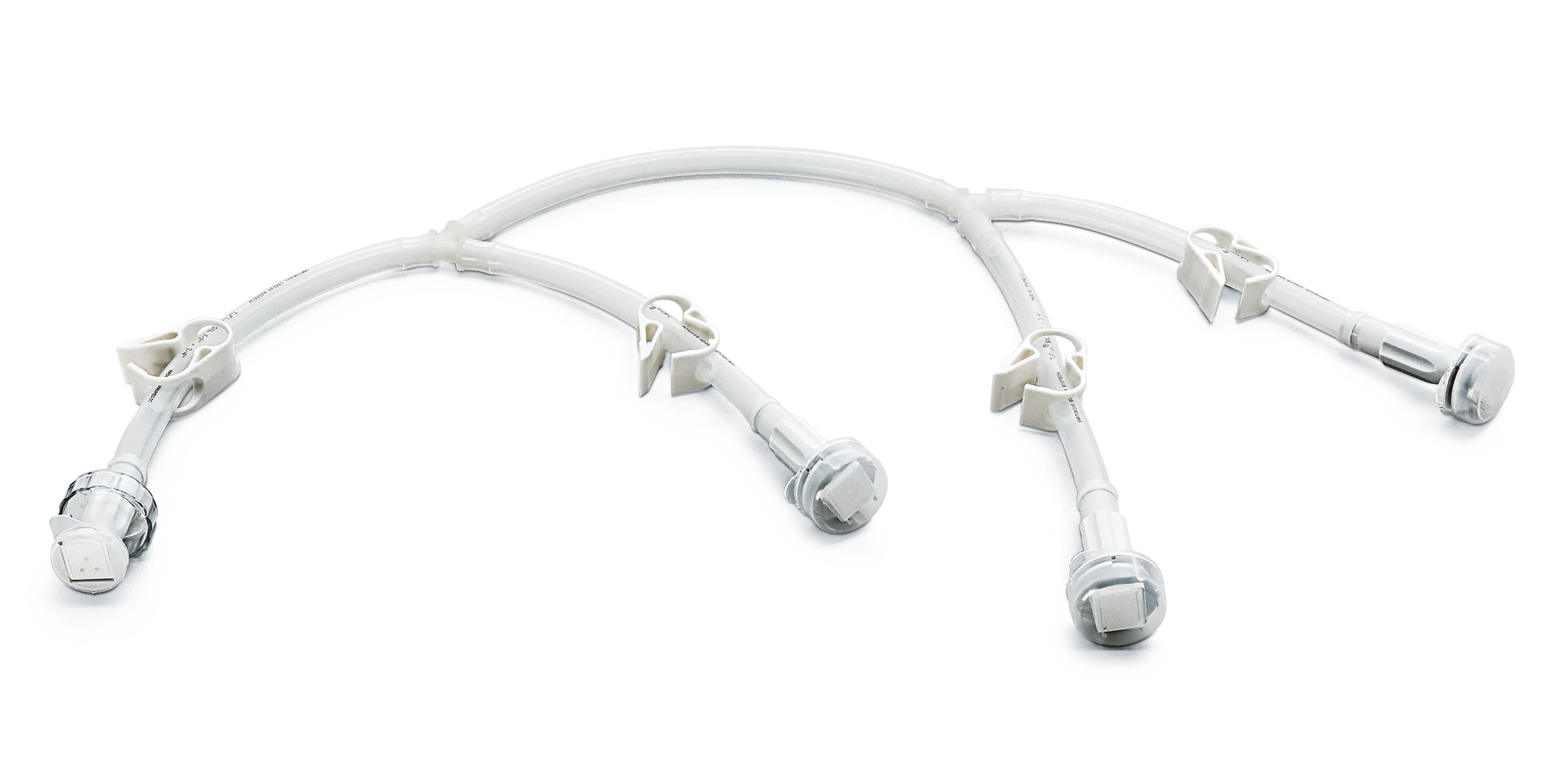 Sartorius Libra Elektronik