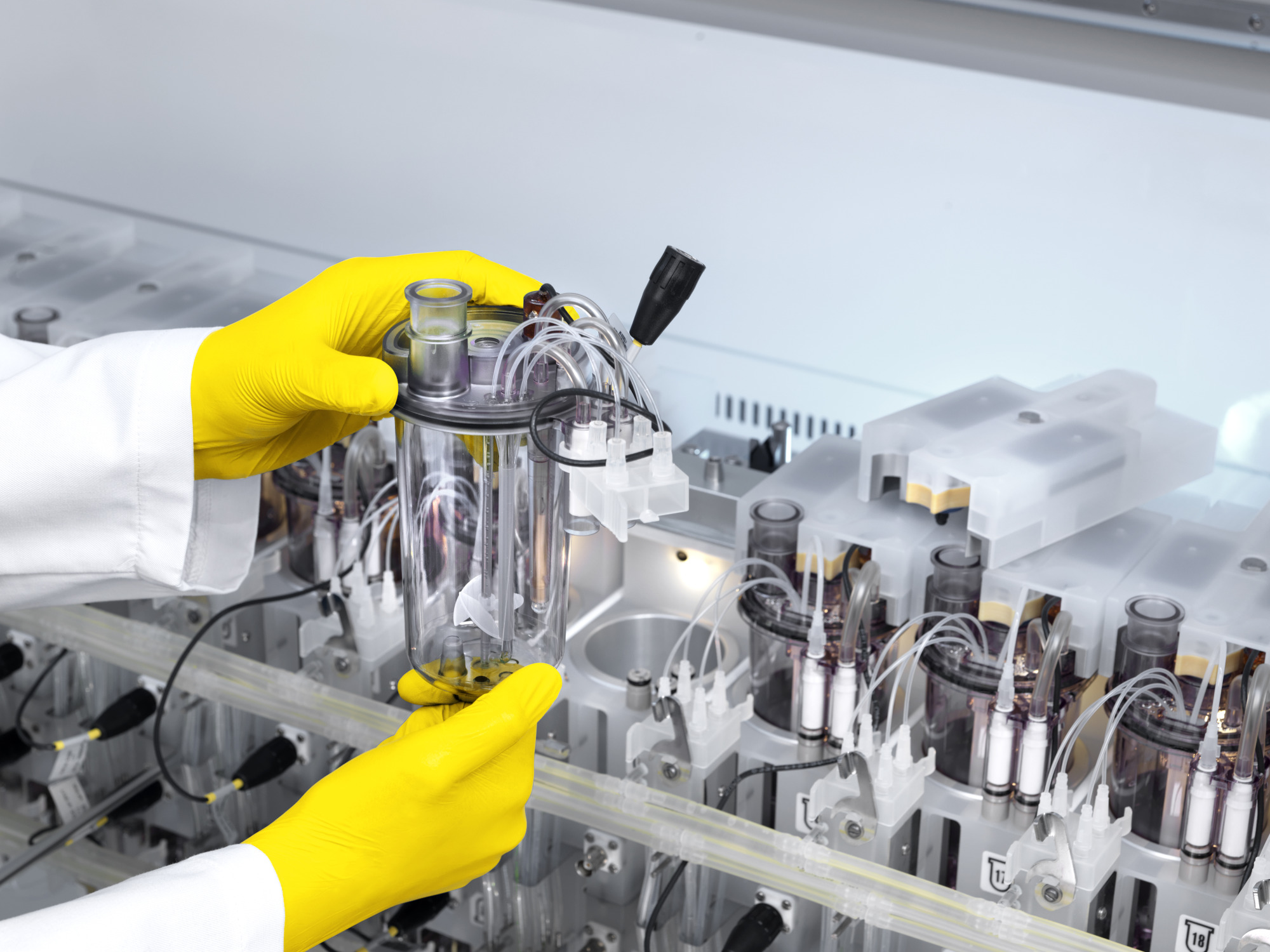 Sartorius Libra Elektronik