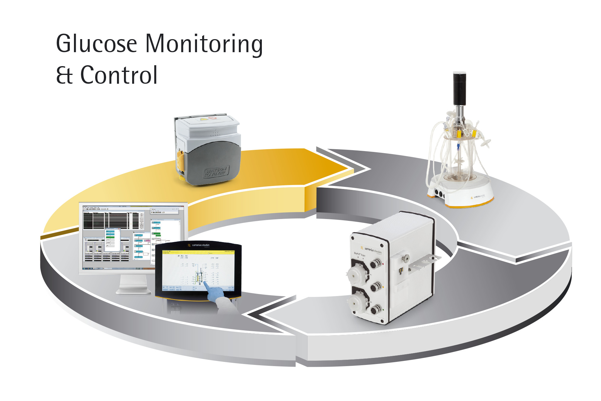 Sartorius Libra Elektronik