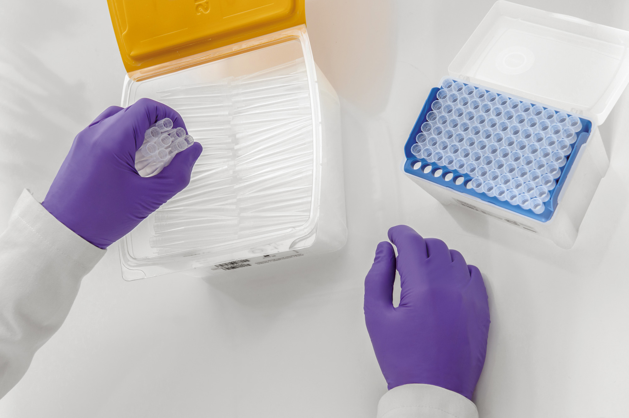 Sartorius Libra Elektronik