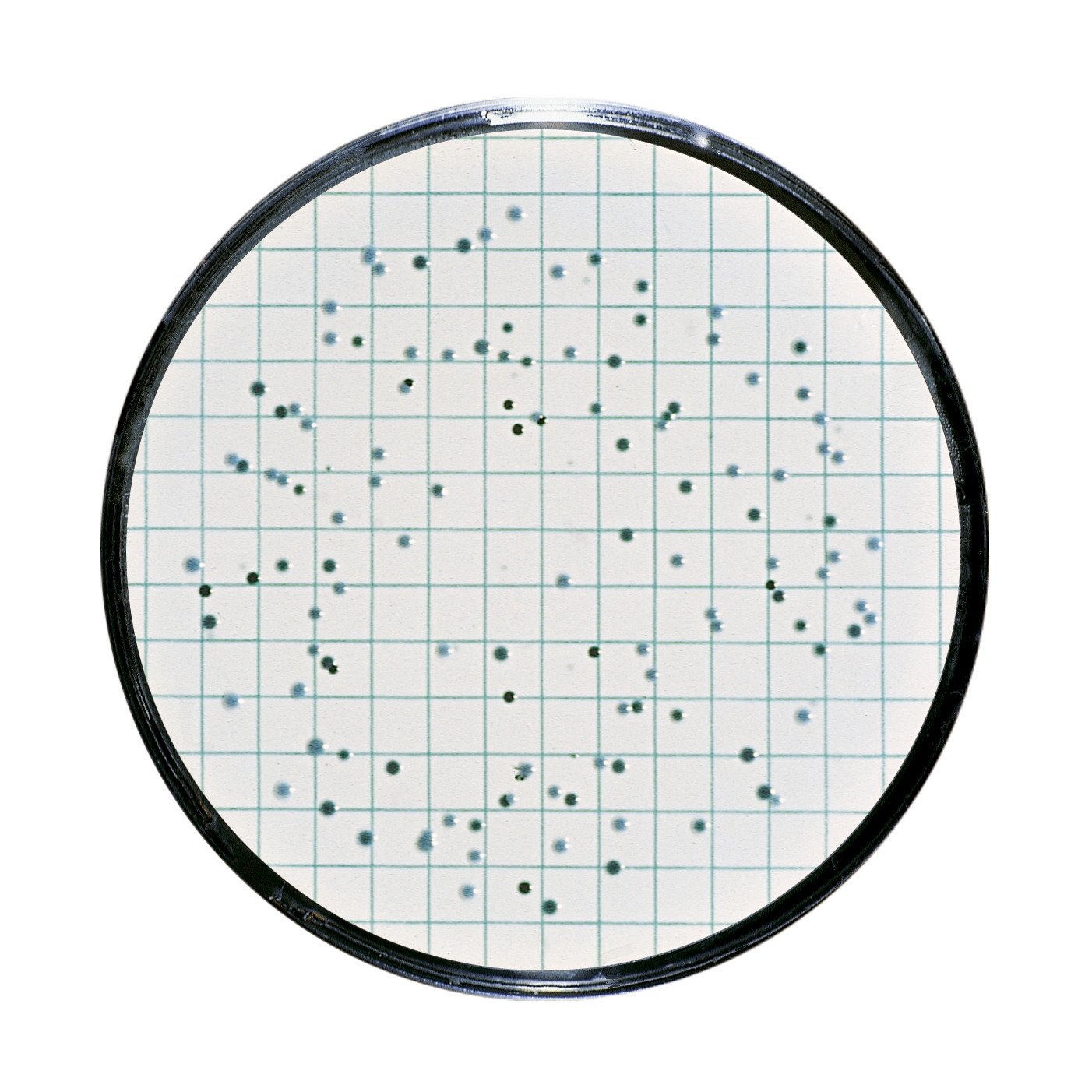 Testiranje vode i detekcija mikroorganizama | Pivo - Sartorius Libra Elektronik