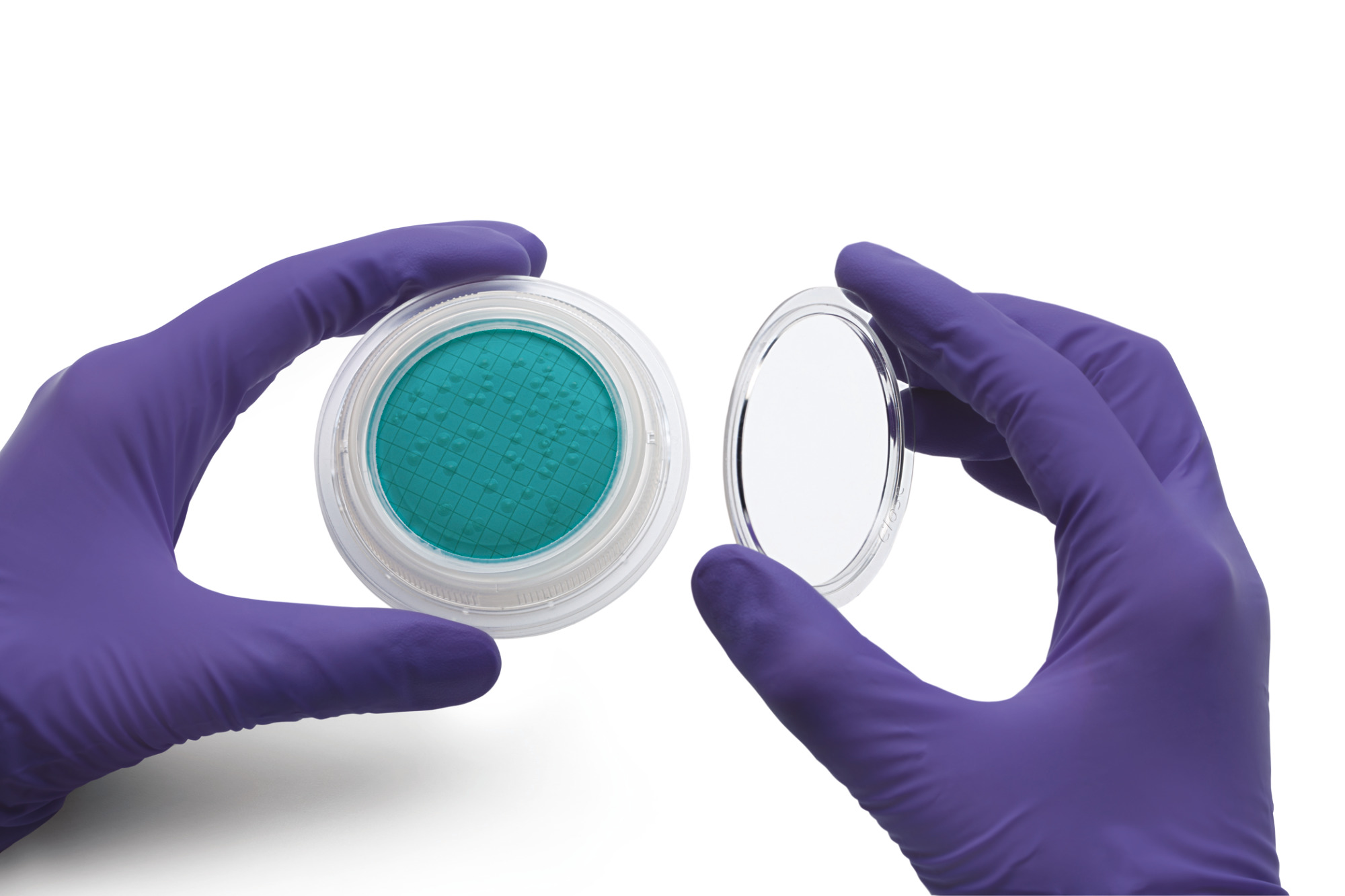 Sartorius Libra Elektronik