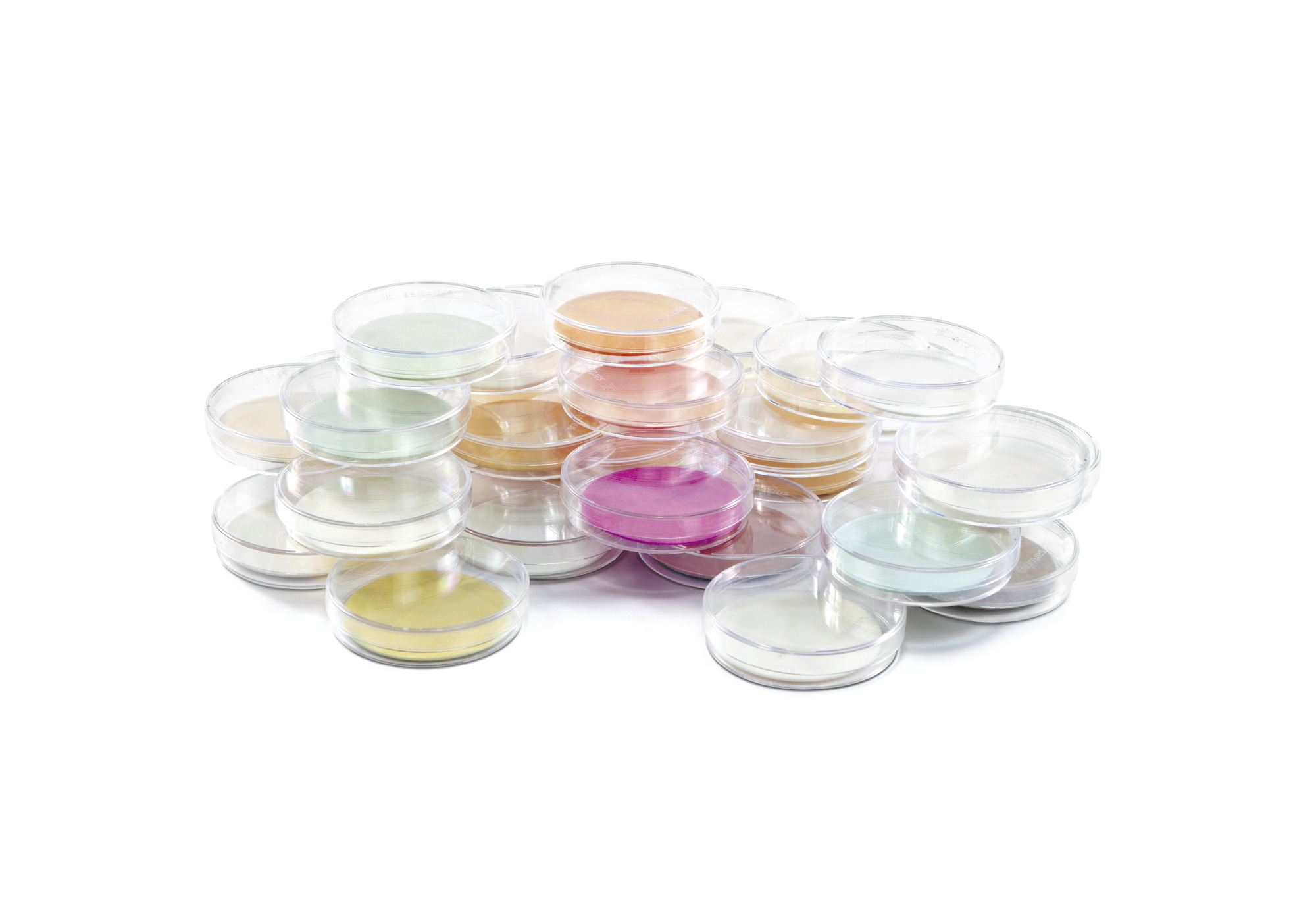 Sartorius Libra Elektronik