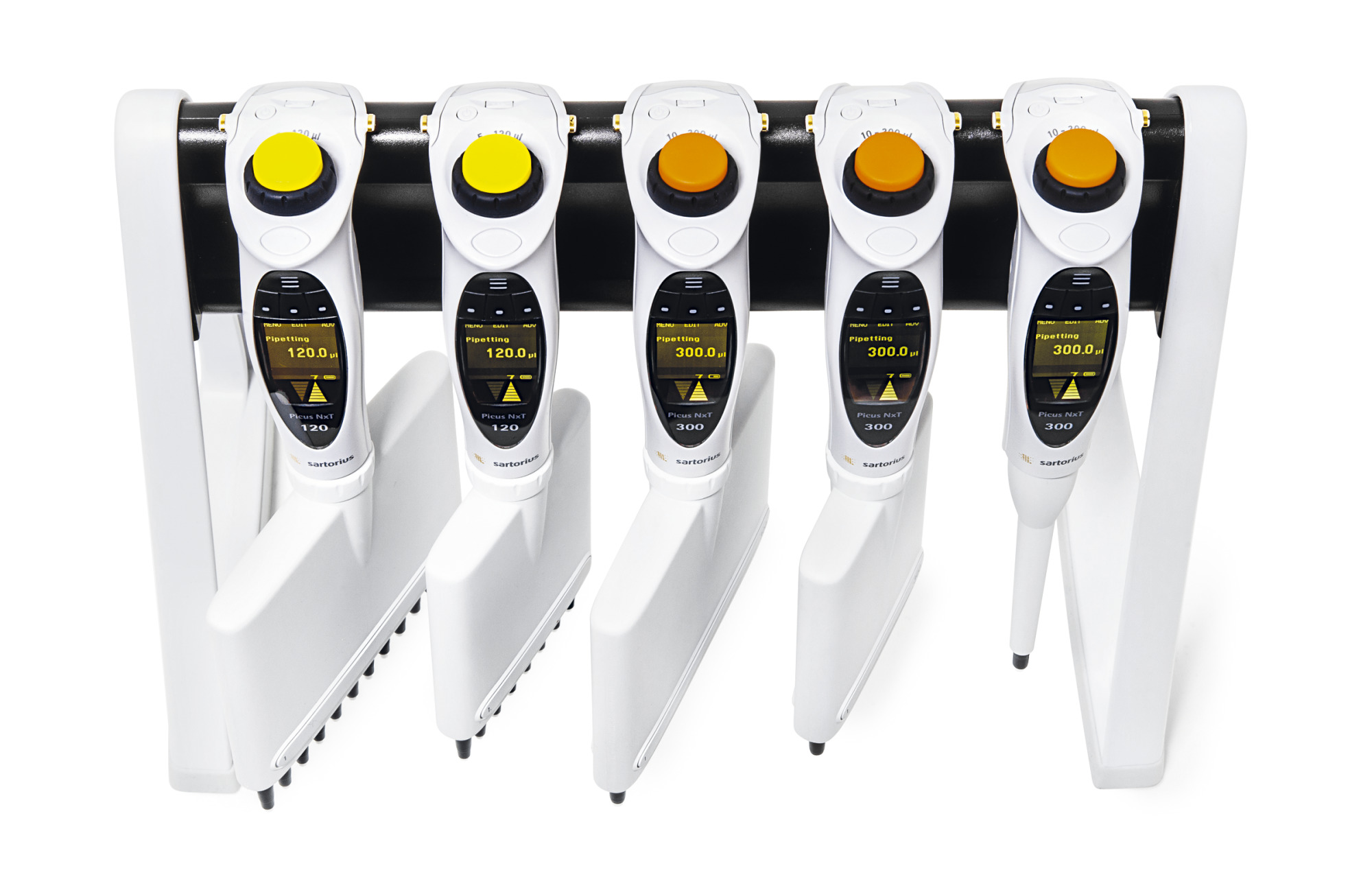 Sartorius Libra Elektronik